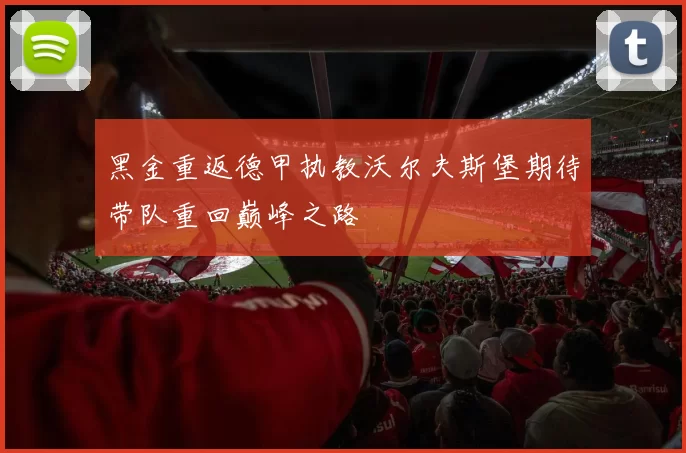 黑金重返德甲执教沃尔夫斯堡期待带队重回巅峰之路